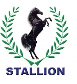 Stallion